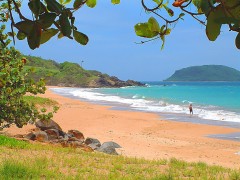 concours,images_1204,Plage-Antilles.jpg