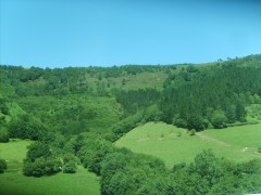S5006710.JPG