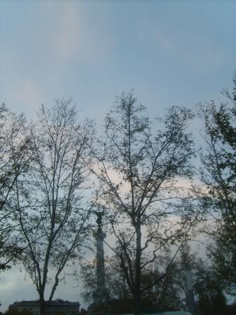 522009233.JPG